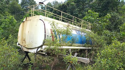 Photos of Anchor Lotus 18-03
