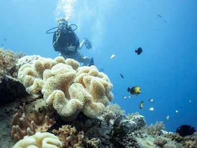 Photos of Manta Dive Gili Air
