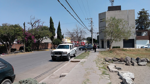 Servicio Electrico Automotriz El Ganzo