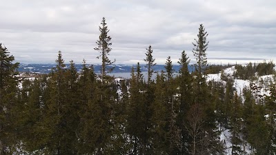 Photos of Elgsethytta