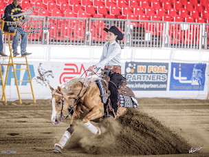 Photo n°3 de CM Quarter Horses | Centre Équestre - Reining - Pension - Entrainement à Lumbin (Écurie)