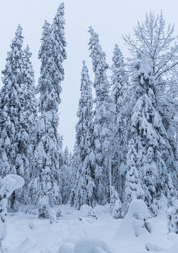 Långberget - Visual