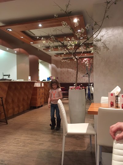 Photos of Silk Sushi Bar