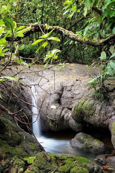 Photos of Finca Sacmoc