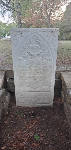 Springfield Cemetery - Visual