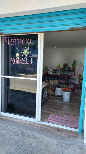 MARELI ENV&ARTE FLORES