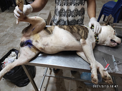 Fotografía de Veterinaria Sabuesos Del propietario