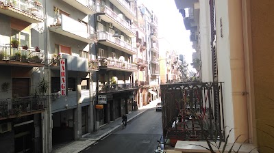 Photos of Olive Tree Hostel