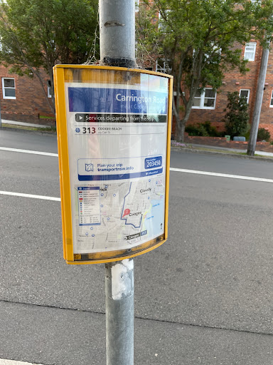 Carrington Rd at Coogee Bay Rd