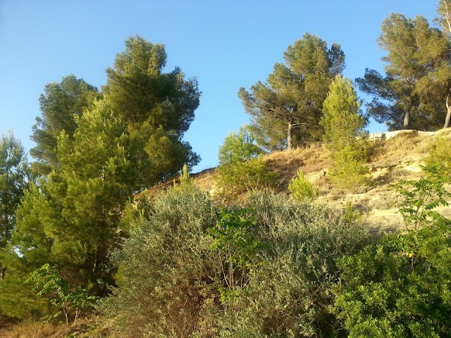 Cinema Coluche