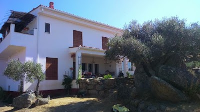 Photos of Finca Flores Amarillas