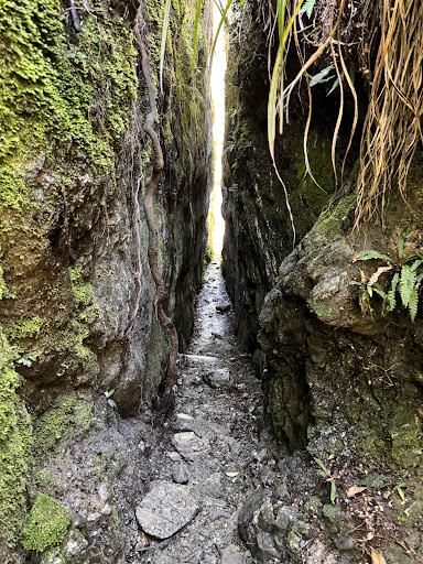 Mt Crichton Loop Track - Thumbnail