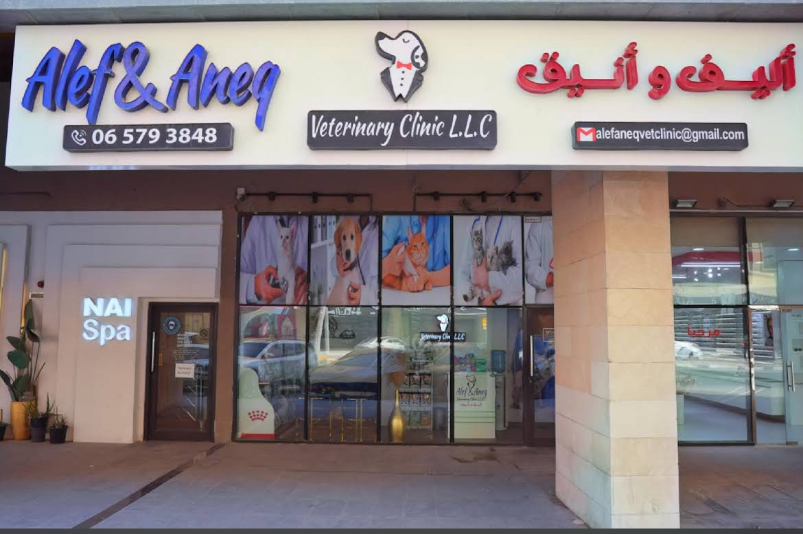 Alef & Aneq Veterinary Clinic - صورة 2