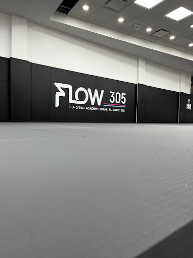 Flow305 - Visual