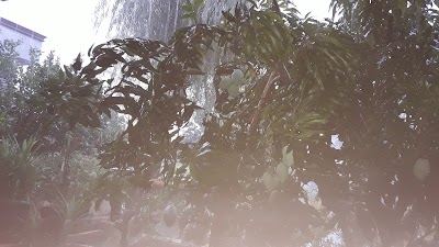 Photos of Elysium Garden Lippo Cikarang
