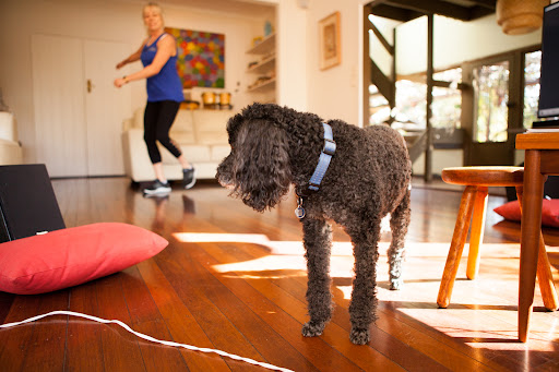 Northern Beaches Pilates (Mona Vale) Gallery - Australia