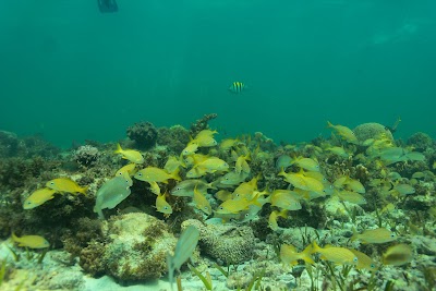 Photos of Cancun Adventure Tours