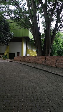 Gymnasium Universitas Indonesia, Author: Dida Abdurahim