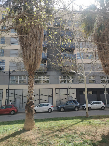 CSV Asesoría Valencia/València Valencia