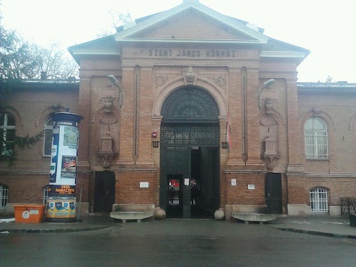 Szent János's Hospital and North Buda Unified Hospitals, Author: Verőczi Zoltán