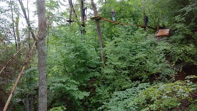 Photos of "Mežakaķis"