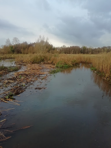 NWT Rushmeadows - Visual