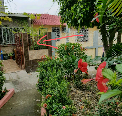 Photos of Casa Michael Guesthouse