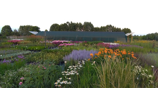 Vivaio I Giardini Dell'Indaco