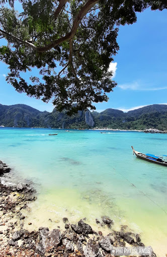 Andrea Solo Travel - Thumbnail