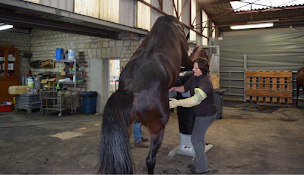 Photo n°4 de Haras de Charmoy à Charmoy (Centre équestre)