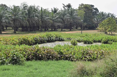 Photos of Kadjebi Asato Secondary School