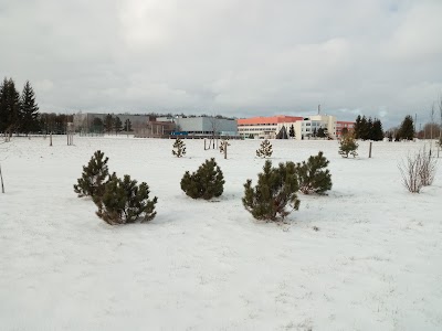 Photos of Rae Valla Sports Center