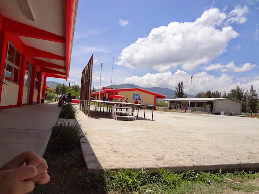 COBAO PL 61 SAN BARTOLO - Thumbnail