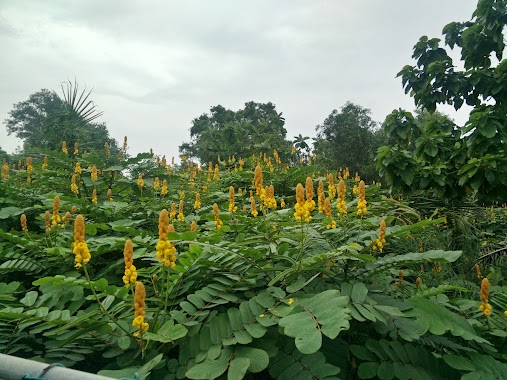 Lunawa Lagoon Walkway Parking & Rest, Author: Sarath Thenuwara