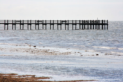 Ses Bridge - Visual