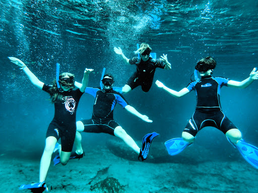 Edventure Tours
