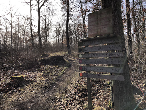 Bänared Bike Park