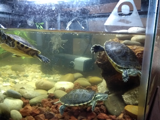Aquarium Naturaleza Acuatica - Thumbnail