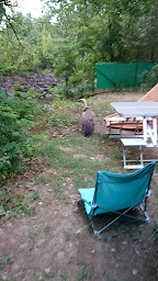 Photo n°33 de Camping Les Peupliers - Le Rozier à Peyreleau (Snack)