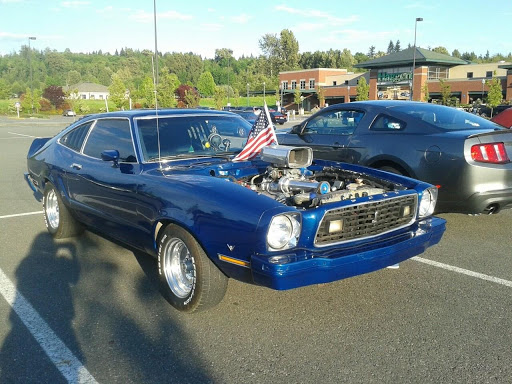 Rats, Rods and Muscle Cars - Thumbnail