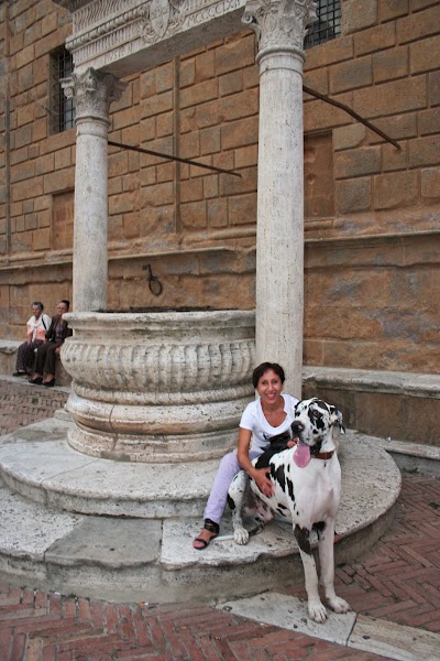 Fontana del Rossellino