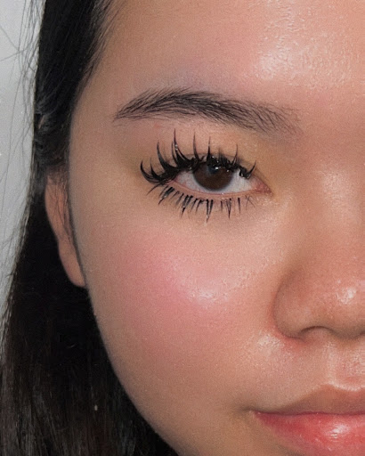 Sushi | Lashes & Beauty Gallery - Australia