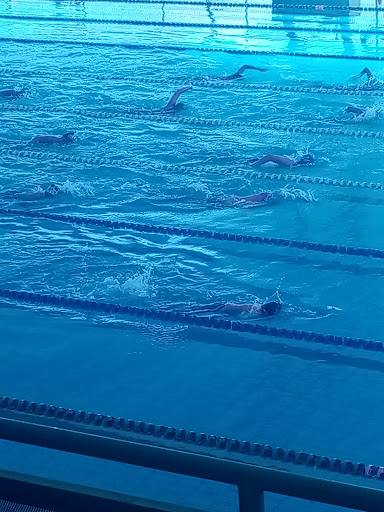 Olympic pool SAHOP - Visual