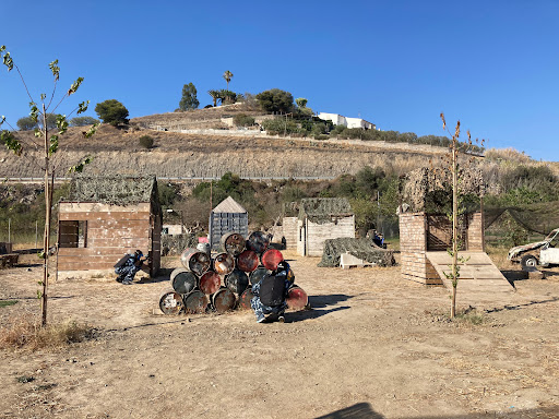 BOX MARAE - Visual