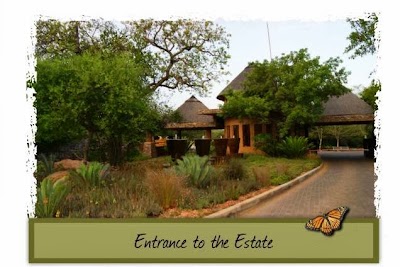 Photos of Hoedspruit Lodge