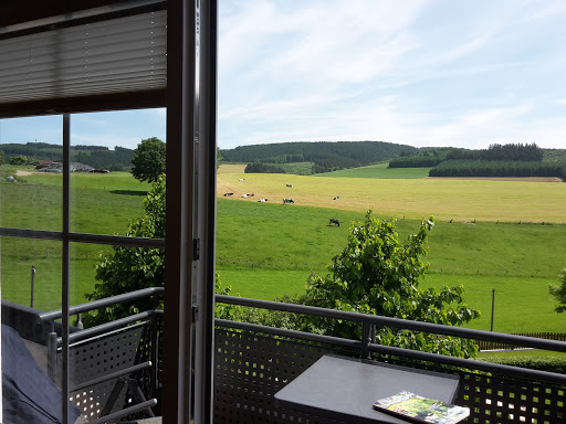 Schellen Hof - Thumbnail