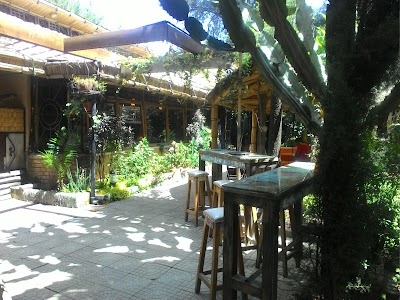 Photos of Lucy Lounge & Restaurant