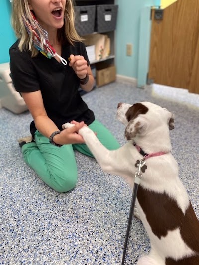 Hanging Rock Animal Hospital