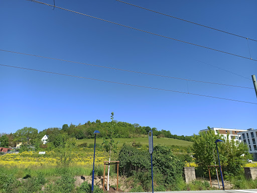 Flurweg - Thumbnail