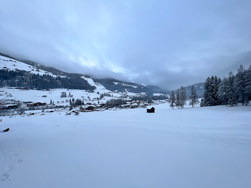 Skilift Waldheim - Thumbnail